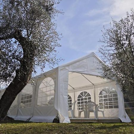 Appartamento Alba Dachi Farm Marina dʼMarina dʼAndora エクステリア 写真