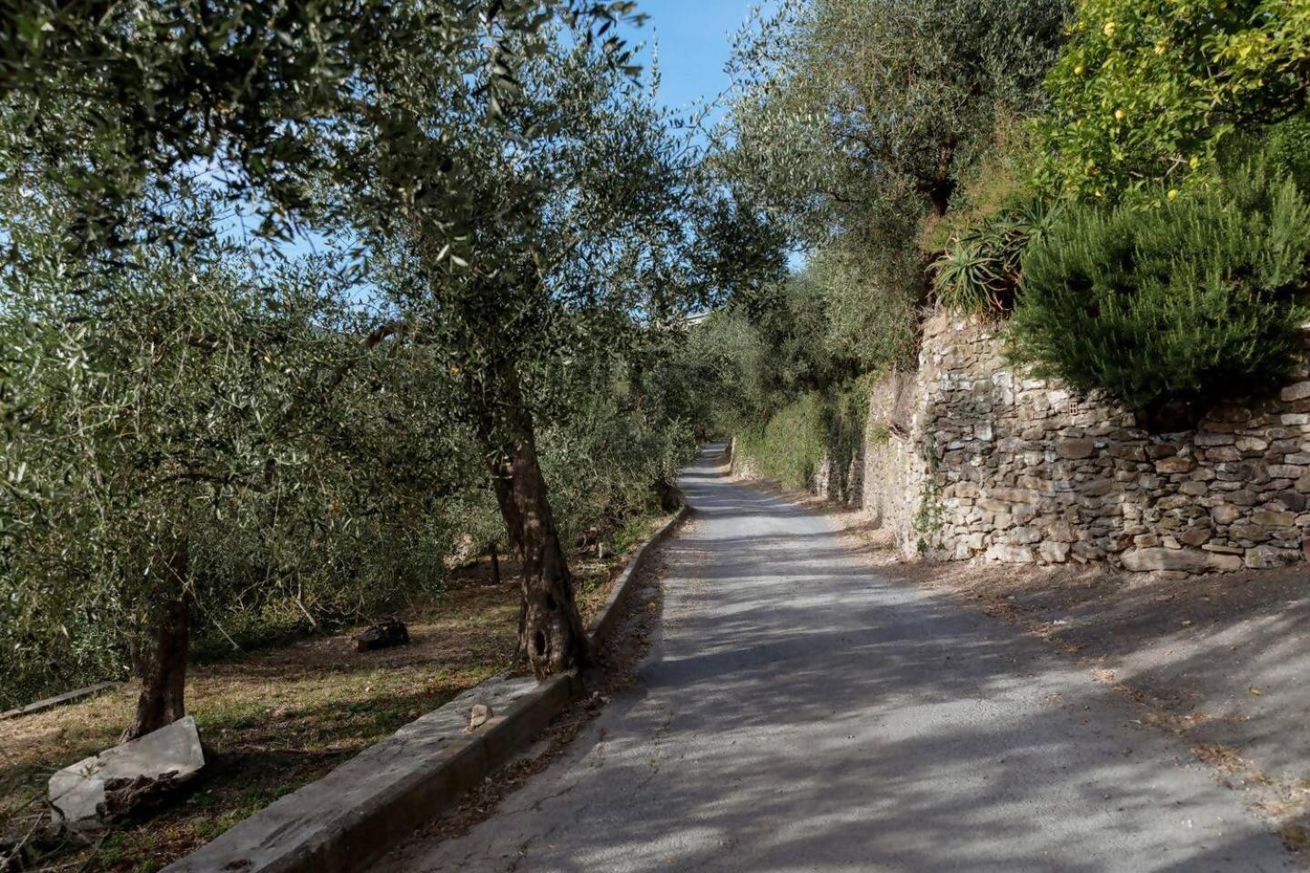 Appartamento Alba Dachi Farm Marina dʼMarina dʼAndora エクステリア 写真