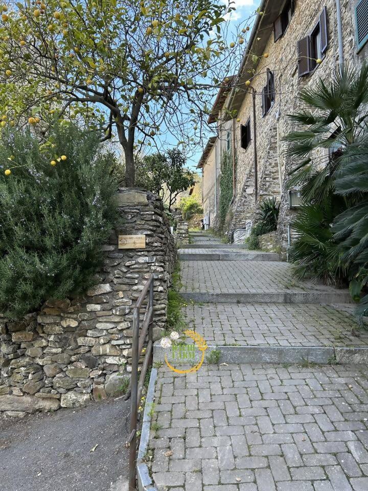 Appartamento Alba Dachi Farm Marina dʼMarina dʼAndora エクステリア 写真
