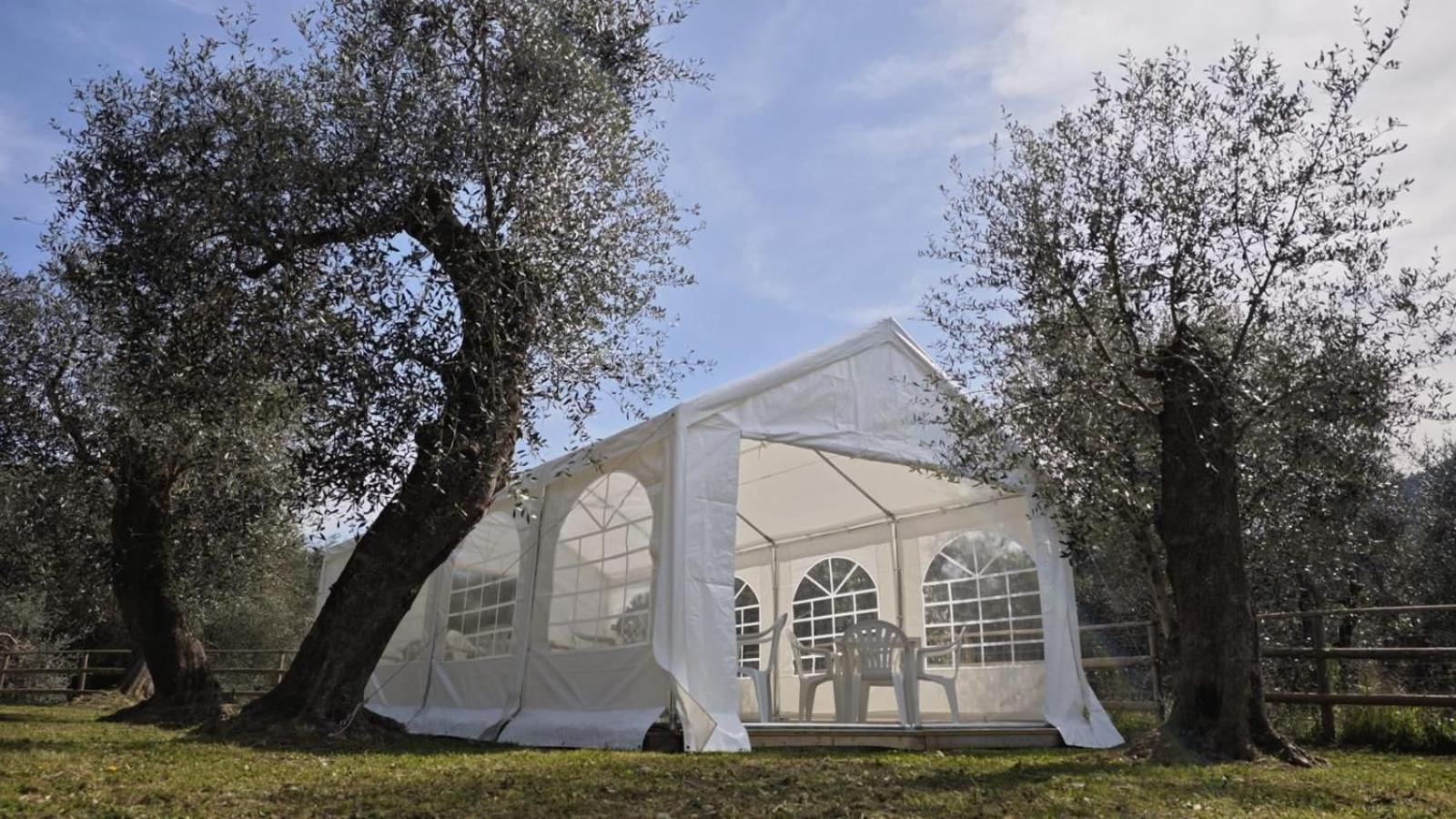 Appartamento Alba Dachi Farm Marina dʼMarina dʼAndora エクステリア 写真