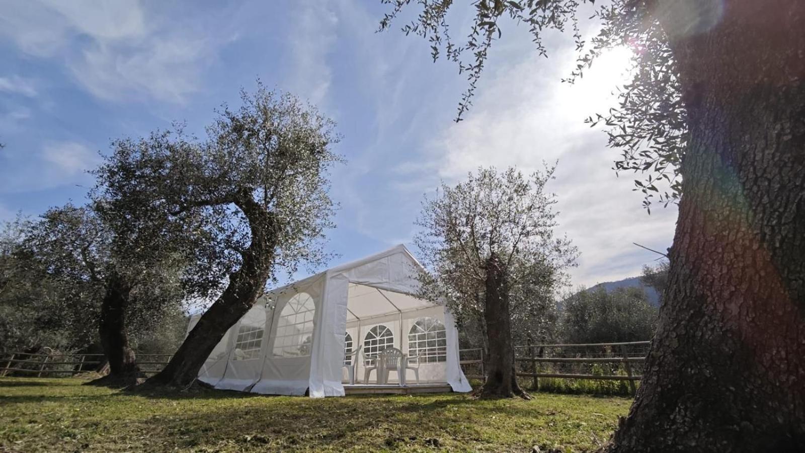 Appartamento Alba Dachi Farm Marina dʼMarina dʼAndora エクステリア 写真